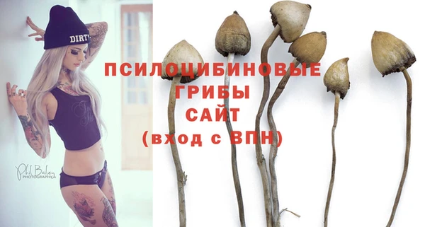 герыч Козловка