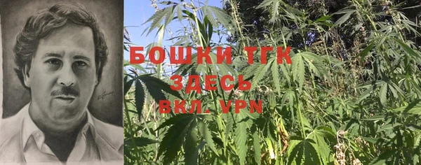 mdpv Кодинск