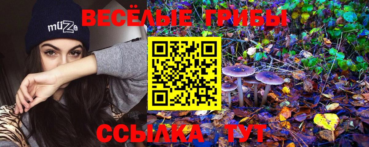 Галлюциногенные грибы GOLDEN TEACHER  Вход с VPN  Псилоцибиновые грибы Psilocybe  Октябрьский 