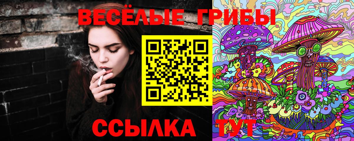 Псилоцибиновые грибы MAGIC MUSHROOMS Октябрьский